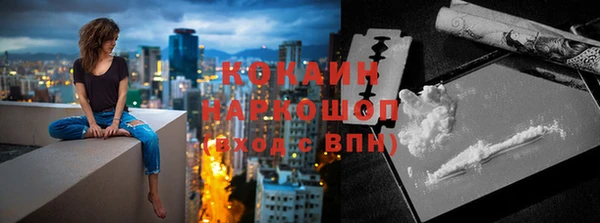 прущие грибы Заволжск
