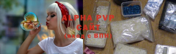 прущие грибы Заволжск