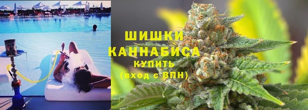 прущие грибы Заволжск