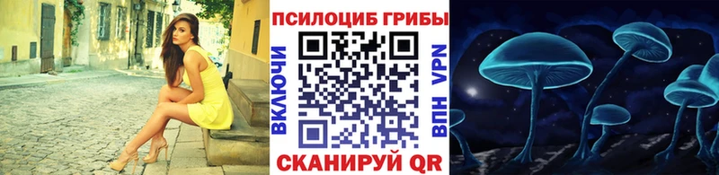 Купить Радужный Галлюциногенные грибы Psilocybine cubensis